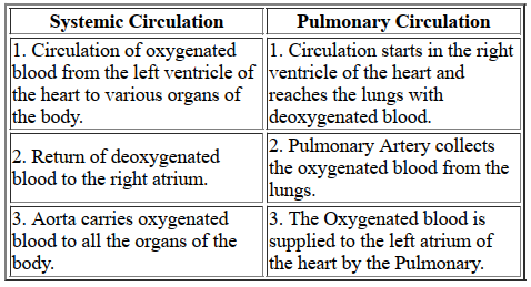 Differentiate between systemic circulation and pulmonary circulation.