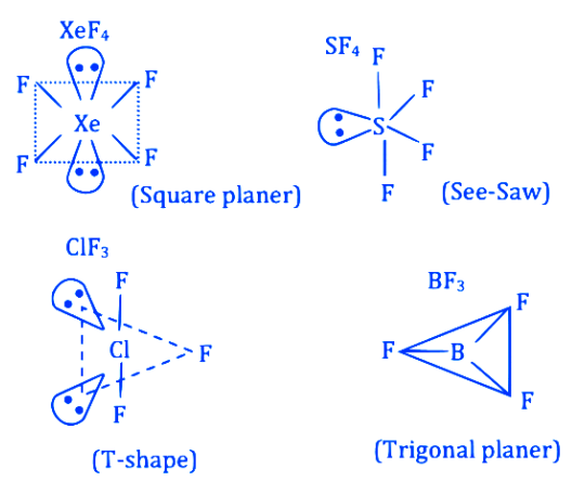 Based upon VSEPR theory, match the shape (geometry) of the molecules in ...
