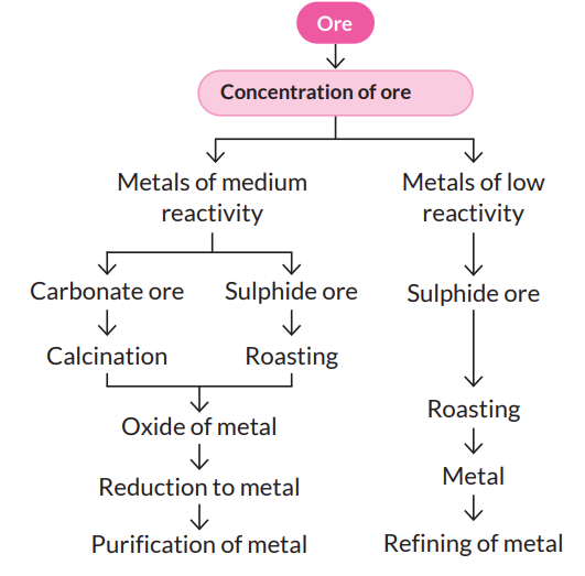 Draw a schematic diagram of the various steps involved in the ...