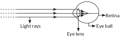 Observe the following diagram and answer the questions following it ...