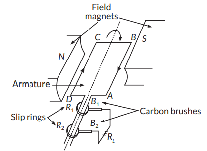 (a) State the principle on which AC generator works. Draw a labelled ...