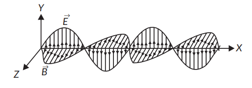 Depict the field diagram of an electromagnetic wave propagating along ...