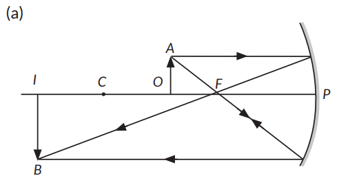 (a) Draw a ray diagram to show image formation when the concave mirror ...