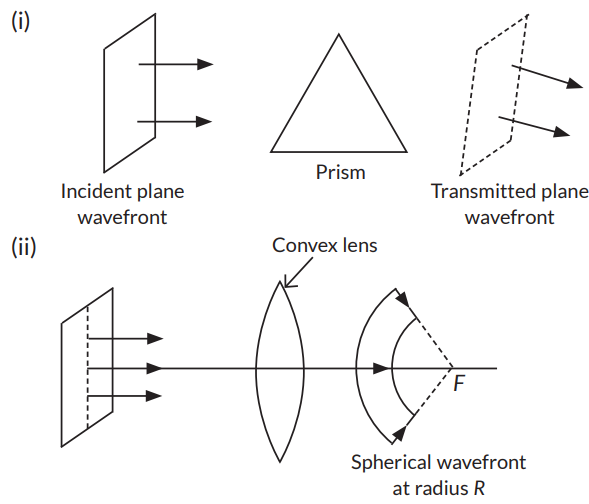 (a) Define a wavefront. (b) Draw the diagram to show the shape of plane ...