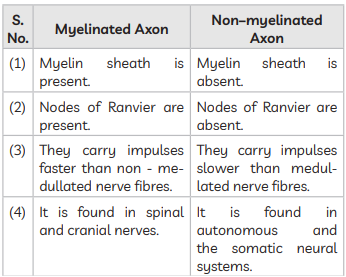 Differentiate between Myelinated axon and Non-myelinated axon.